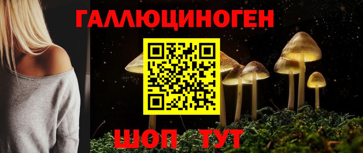 Галлюциногенные грибы MAGIC MUSHROOMS Курчатов